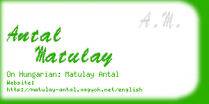 antal matulay business card